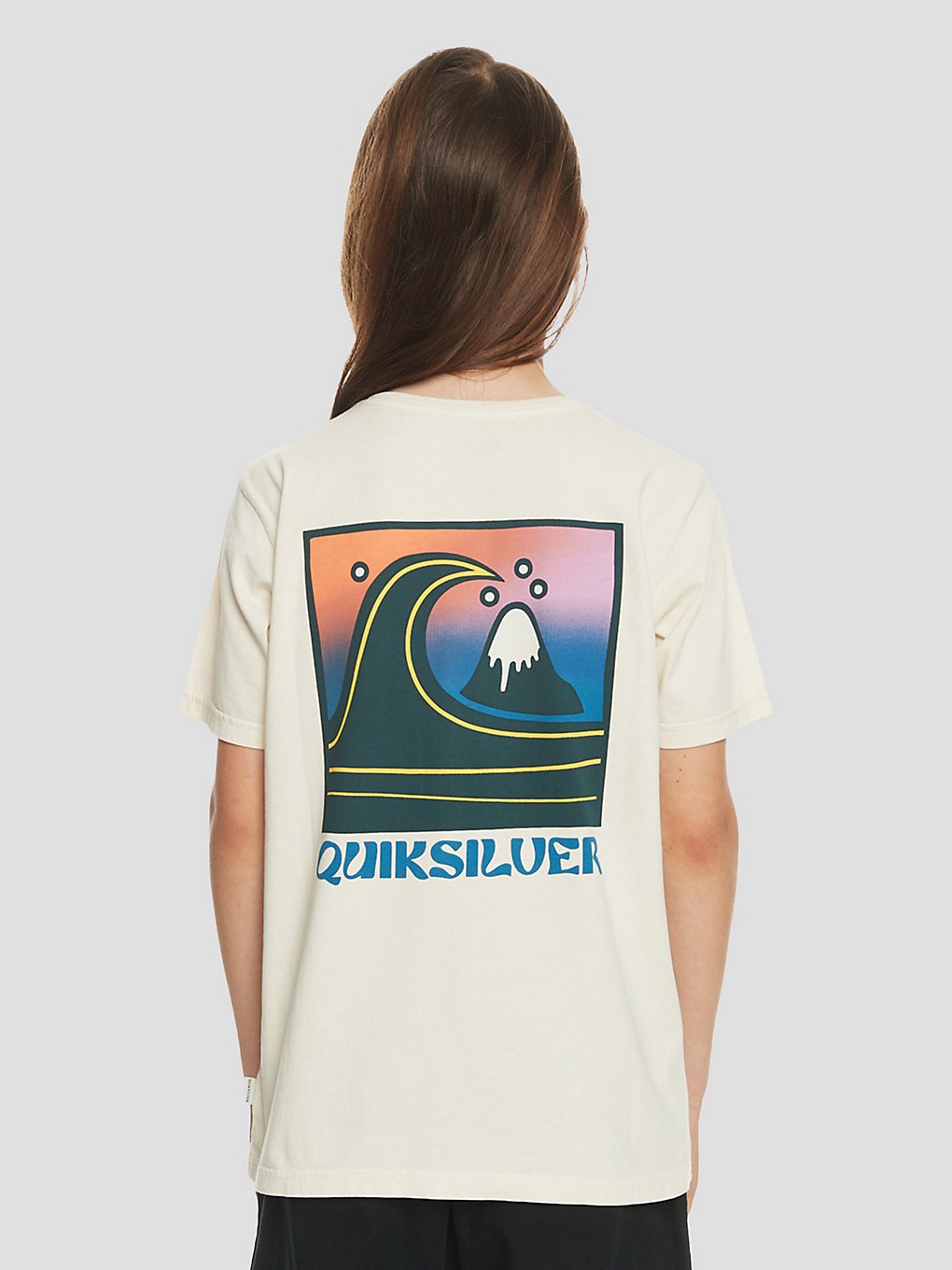 quiksilver qs bubble stamp t-shirt birch