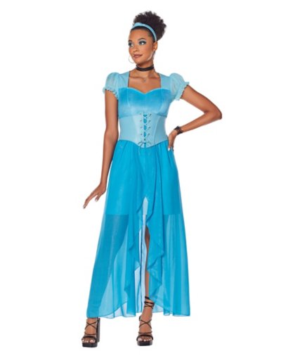adult cinderella dress costume- disney princess by spirit halloween