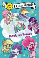 my little pony pony life meet the ponies