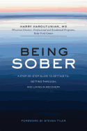 Being Sober A Step By Step Guide To Getting To Getting Through And Living I