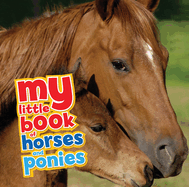my little book of horses and ponies